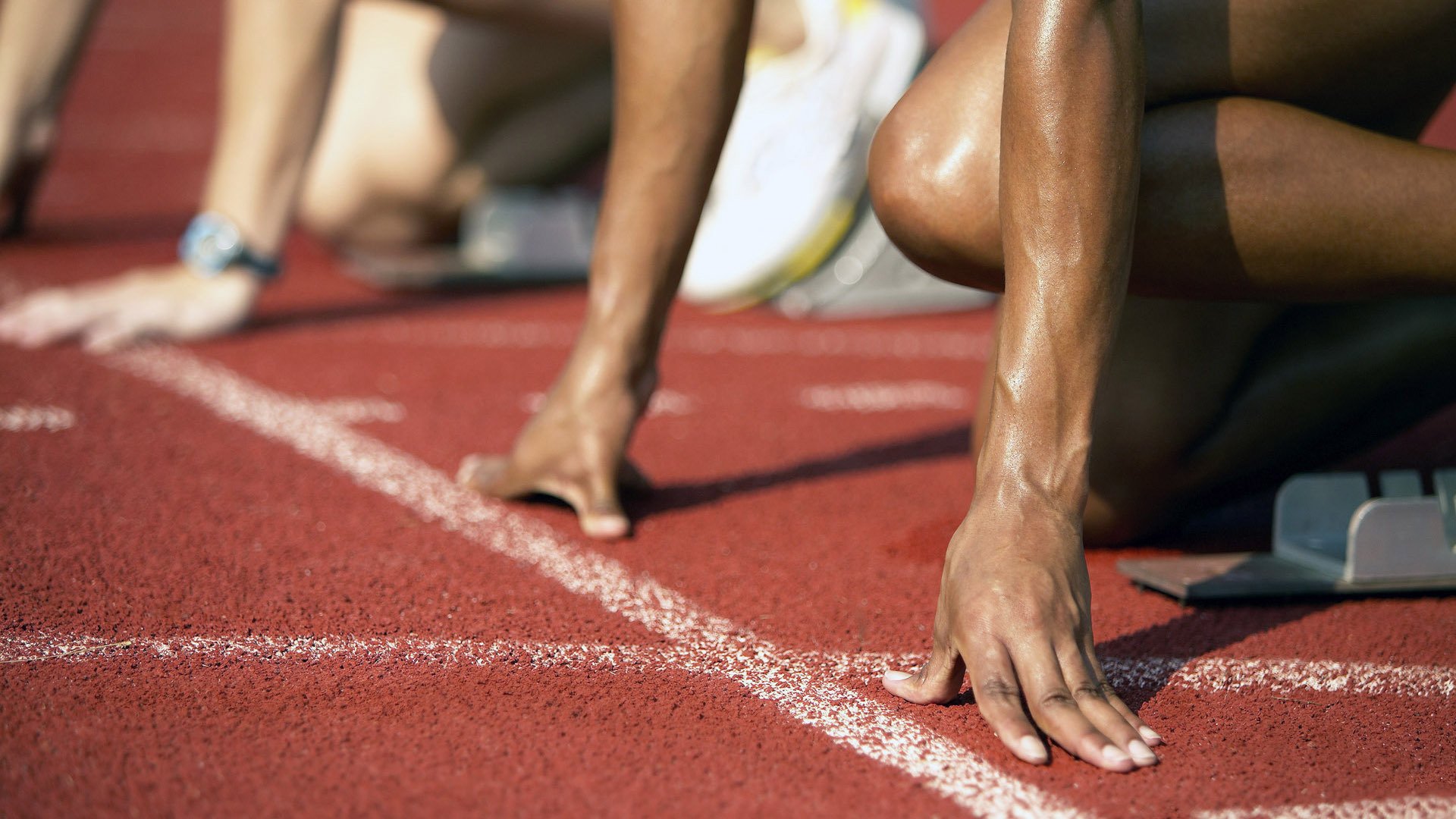 F1年度争冠之夜，约基奇赛后评分拉满，竞技之巅的共通灵魂